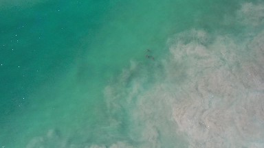 LOS CABOS MEXICO-2020: Water Cloudy By Thick Material Such As Underwater Dust Or