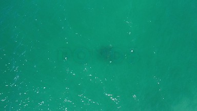 LOS CABOS MEXICO-2020: Dark Mysterious Spot Under A Pool Of Sea Green Water
