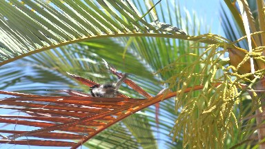 LOS CABOS MEXICO-2020: Sea Green Beach Sun Light Paradise Free Wild Wind