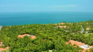 PALMILLA BEACH BCS MEXICO-2020: Aerial Footage Of Dense Trees With Some Spots
