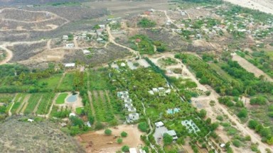 LA PLAYITA LOS CABOS MEXICO-2021: Aerial View Of Green Treetops In A Rural Town