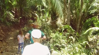SAN PANCHO NAYARIT MEXICO: Family Hike Through The Mexican Jungle
