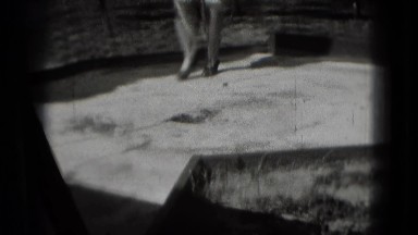 1946: Washington DC Visit. A Black And White Photo Of A Woman Standing In Front