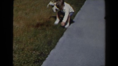 1958: Las Vegas. A Dog Digging A Hole In The Grass.