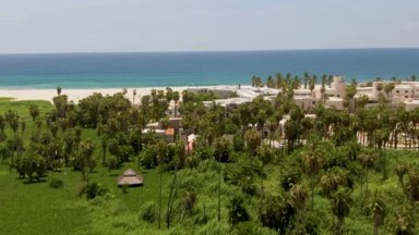 SAN JOSE DEL CABO BCS MEXICO-2022: An Aerial View Of A Beach And Palm Trees