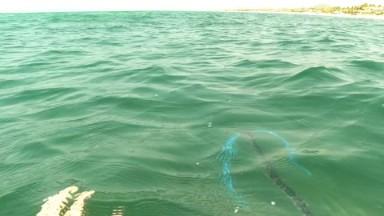 SAN JOSE DEL CABO BCS MEXICO-2023: A View Of A Body Of Water From A Boat