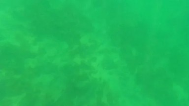 SAN JOSE DEL CABO BCS MEXICO-2023: A Large Body Of Water With Green Algae