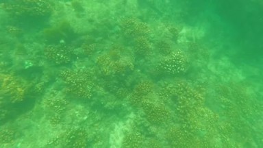 SAN JOSE DEL CABO BCS MEXICO-2023: A Person Standing In The Water With Their