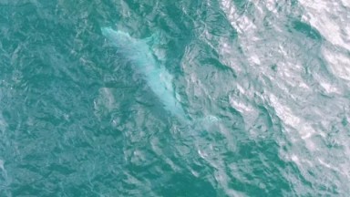 SHIPWRECKS EAST CAPE BCS MEXICO-2023: An Aerial View Of A Body Of Water