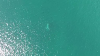 BUZZARDS BEACH EAST CAPE BCS MEXICO-2023: An Aerial View Of A Body Of Water