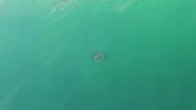 BUZZARDS BEACH EAST CAPE BCS MEXICO-2023: An Aerial View Of A Body Of Water