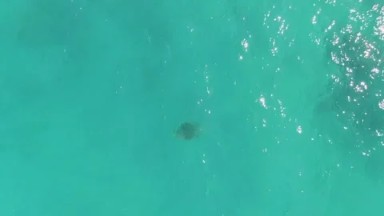 LA FORTUNA EAST CAPE BCS MEXICO-2023: An Aerial View Of A Body Of Water