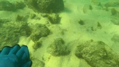 LOS BARIELLES BCS MEXICO-2023: A Close Up Of A Glove On The Ground