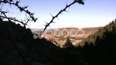 Thorny Hogback View