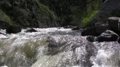 Hovering Over a Stream