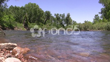 Downstream River Flow Green Forest