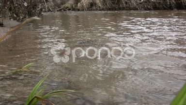 Shallow Sandy Bottom Creek