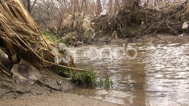 Sandy Shallow Barren Creek