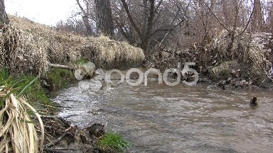 Bending Early Spring Creek