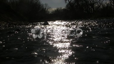 Waiting for Sunset Down in the Creek