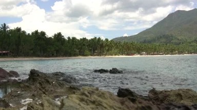 Jungle Shoreline Captive