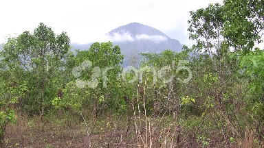 Natural Elevation of Green Mountain View