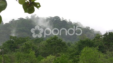 Overlooking the Rainy Mist in the Jungle