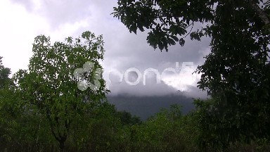 Tropical Rain Impacts Your Mood
