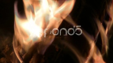 Campfire Log Fire Closeup