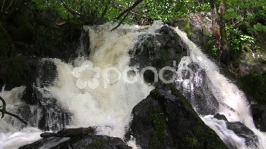 Rugged Forest Waterfall Raging