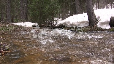 Downstream Snowmelt Creek Flowing