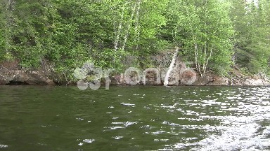 Wooden Shoreline Forest Boat Troll