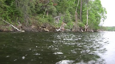 Boat Trolling Past Rocky Forest Shore