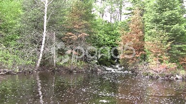 Hidden Shoreline Waterfall in the Forest