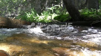 Fast Pace of Water Flowing
