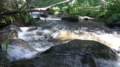 Overflowing Water through Boulder