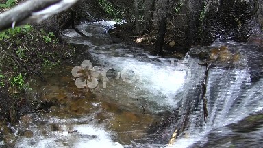 Waterfall Edge