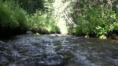Rippling Water Flowing Down