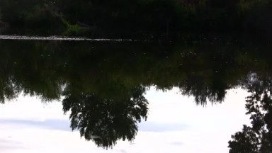 Lazy River Reflections