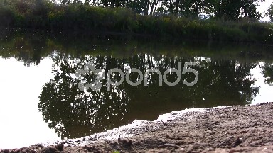 Lazy River Reflections