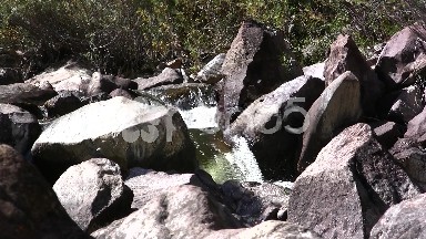 Boulder Filled Creek