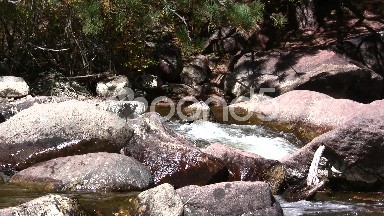 Boulder Mountain Creek