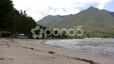 (Prefect Loop) Sun-soaked Beach Break Mountain
