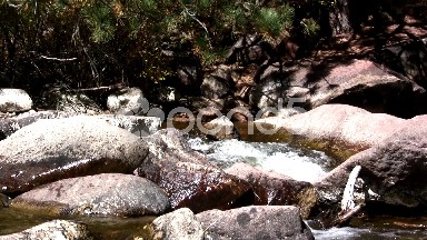 (Prefect Loop) Boulder Mountain Creek