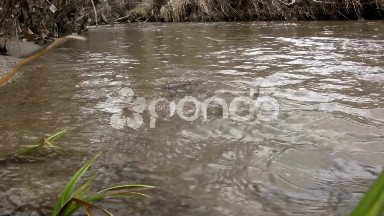 (Prefect Loop) Shallow Sandy Bottom Creek Reflection