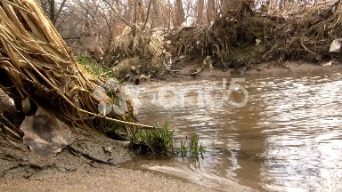 (Prefect Loop) Sandy Shallow Barren Creek Shot Aside