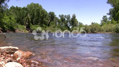 (Seamless Loop) Flowing Downstream River Green Forest