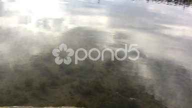 (Seamless Loop) Rippling Closeup View