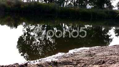 (Seamless Loop) Silent River Reflections View