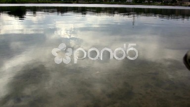 (Seamless Looping) Quiet Reflection Shore
